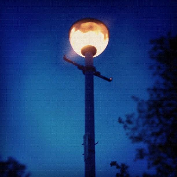 Tree Photograph - #light #lamppost #night #glasgow #trees by Dean Ferris