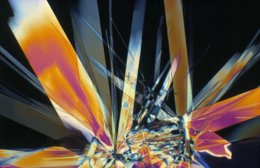 Lm Photograph - Light Micrograph Of Thiamine Crystals by David Parker