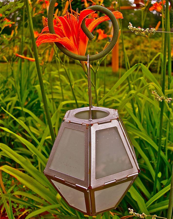 Light of the Lily Photograph by Randy Rosenberger