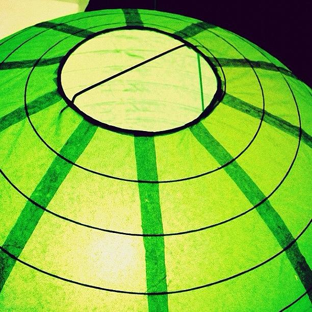 Lighted Green #colorsoftheweek Photograph by Rye Basco