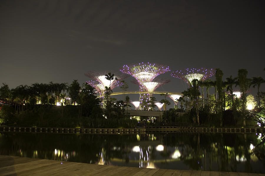 Lighted supertrees of the Gardens by the Bay in Singapore Photograph by Ashish Agarwal