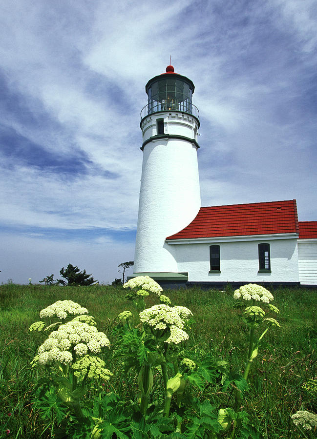 Lighthouse and Flowers Photograph by Joe  Palermo