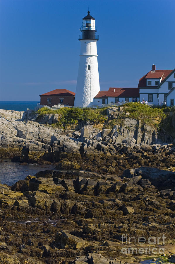 Lighthouse and Rocks Photograph by Tim Mulina