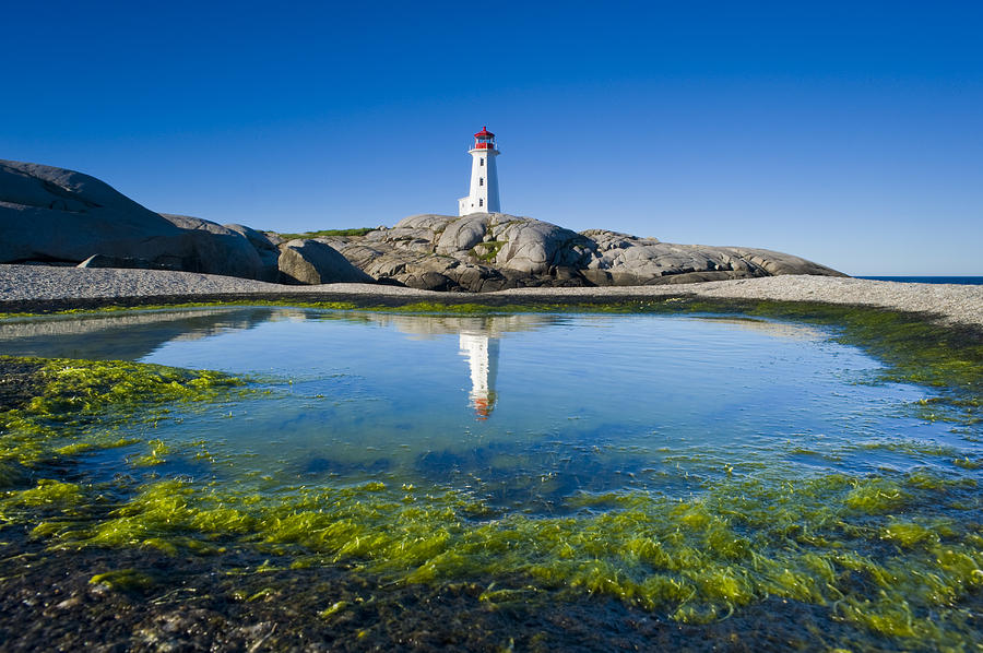 Lighthouse And Tide Pool Photograph by David Nunuk