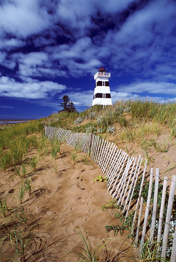 Landscape Photograph - Lighthouse, Cedar Dunes Provincial by David Nunuk
