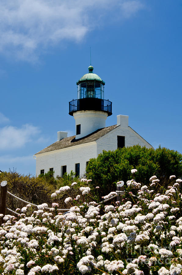 Lighthouse Flowers Photograph by Baywest Imaging