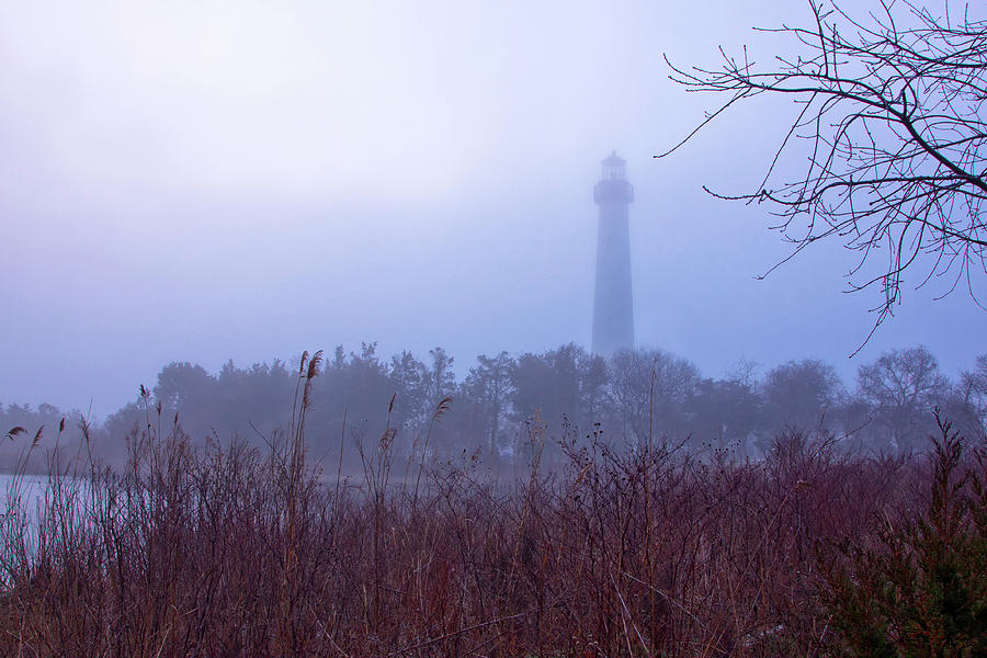 Lighthouse in Fog Photograph by Tom Singleton