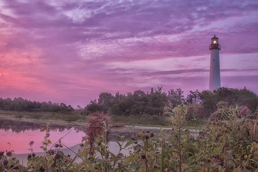 Cape May Point State Park Photograph - Lighthouse Red Dawn by Tom Singleton