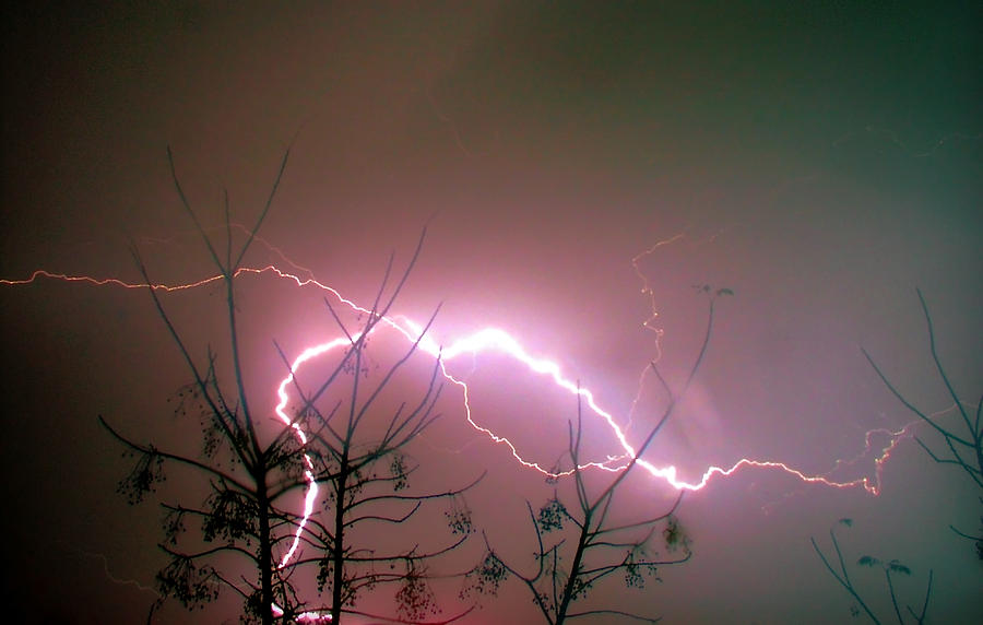 Tree Photograph - Lightning And Trees by Meir Ezrachi