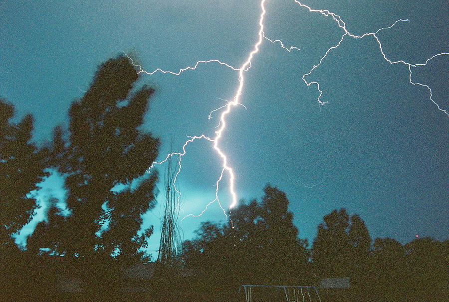 Lightning Tree Photograph by Trent Mallett