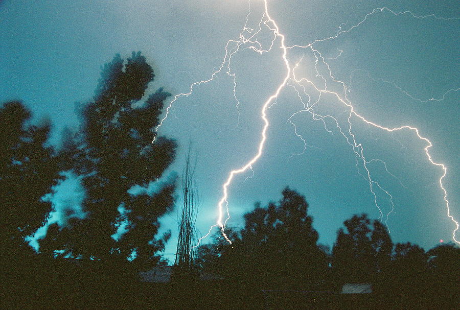 Lightning Photograph - Lightning Trees by Trent Mallett