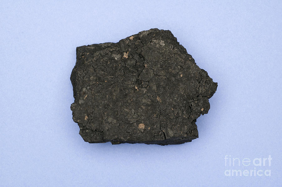Lignite Brown Coal Photograph by Ted Kinsman