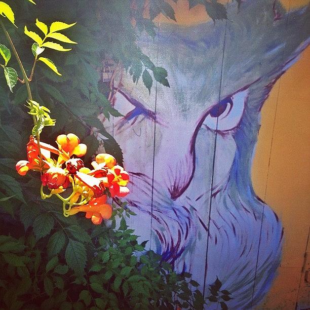 Mural Photograph - Like A Cunning Cat. | #latergram by Karen O