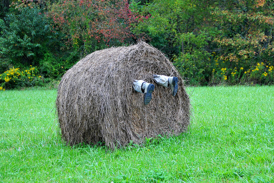 Like Finding a Person in a Haystack Photograph by Alan Lenk