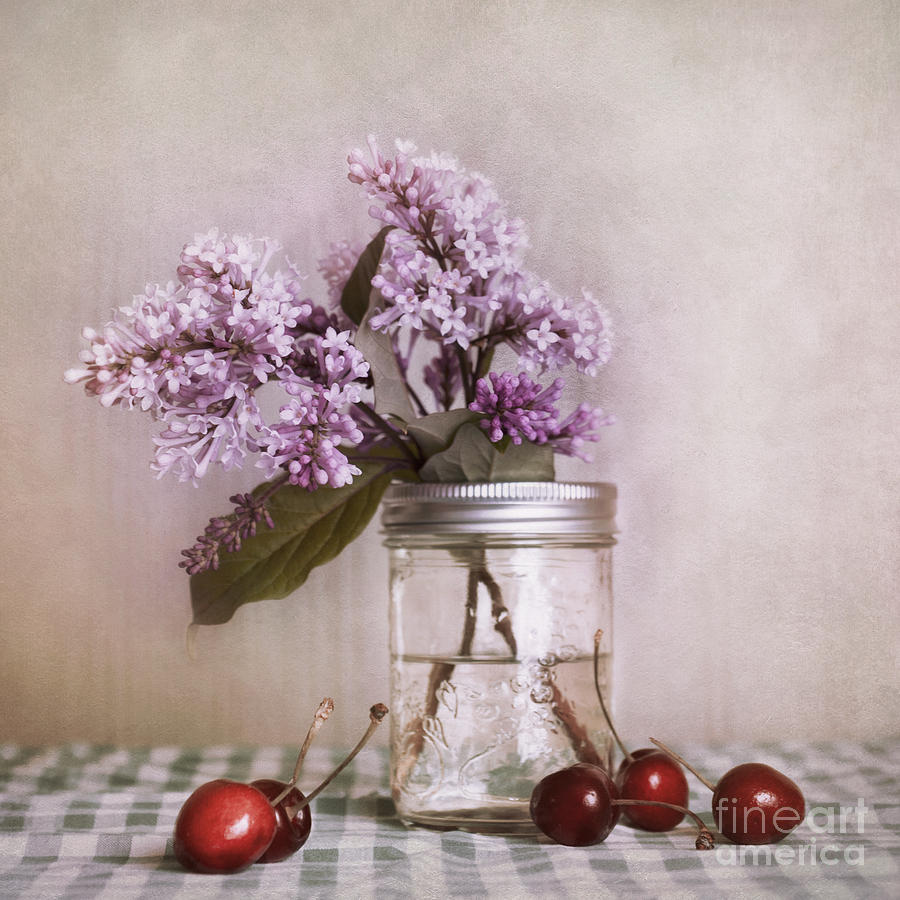 Fruit Photograph - Lilac And Cherries by Priska Wettstein