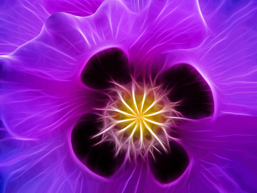 Lilac Poppy Digital Art by Bel Menpes