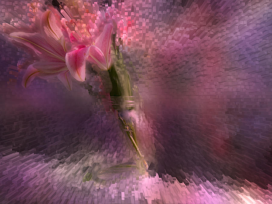 Lilies Explosion Digital Art by Natalya Shvetsky
