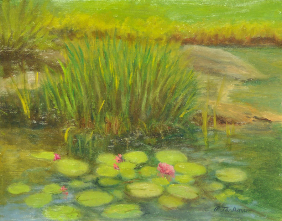 Lilies on the Pond Painting by Phyllis Tarlow Fine Art America