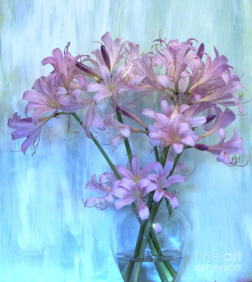 Still Life Photograph - Lilies Pink by Marsha Heiken