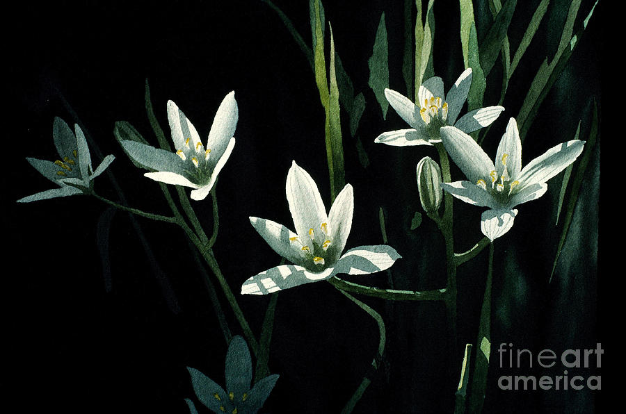 Nature Painting - Lillies by Frank Townsley