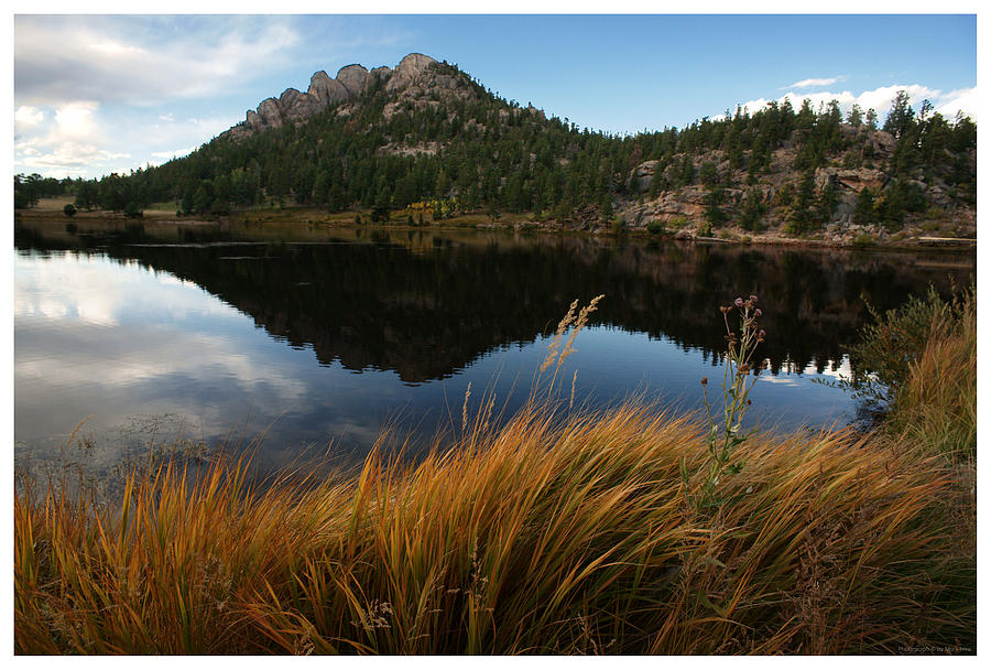 Lily Lake Photograph by Mark Ivins