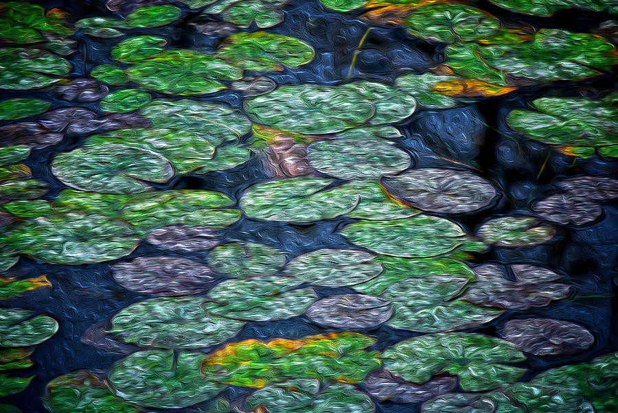 Lily Pads Painting by Prince Andre Faubert