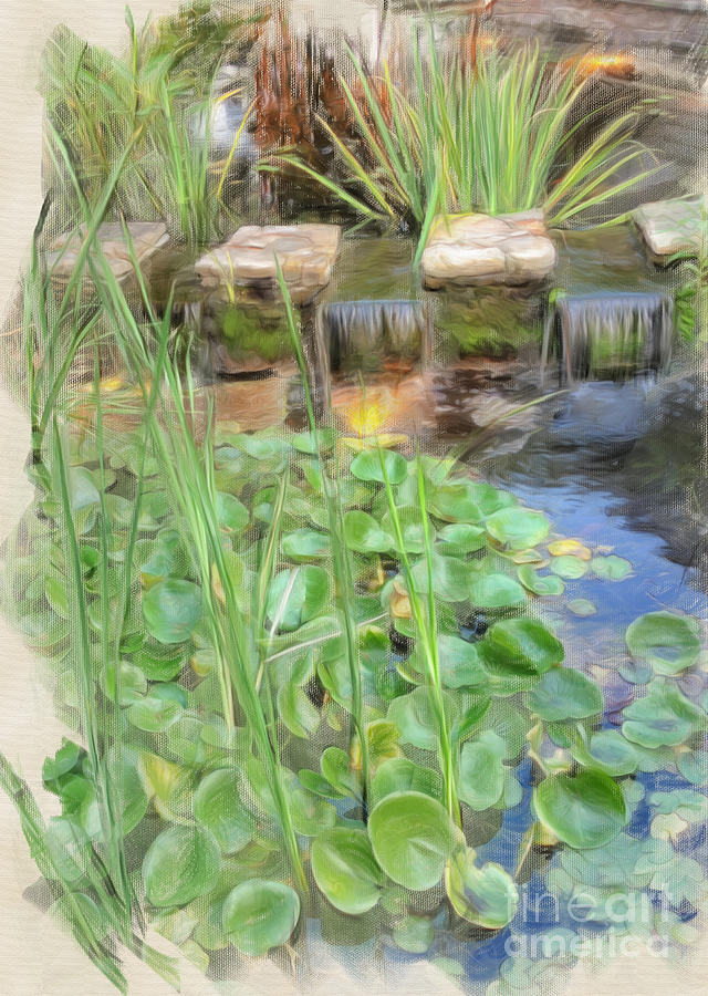 Lily Pond at Clydes Digital Art by Jim Moore