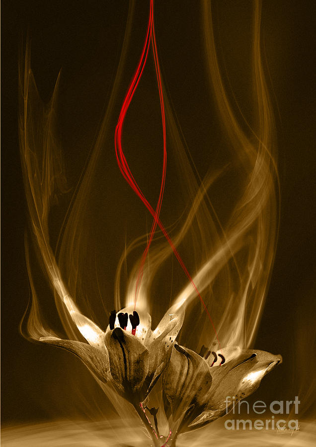 Lily with red flow Digital Art by Johnny Hildingsson