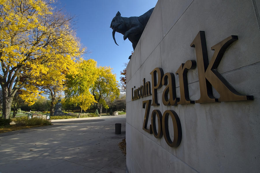 Lincoln Park Zoo in fall Photograph by Sven Brogren