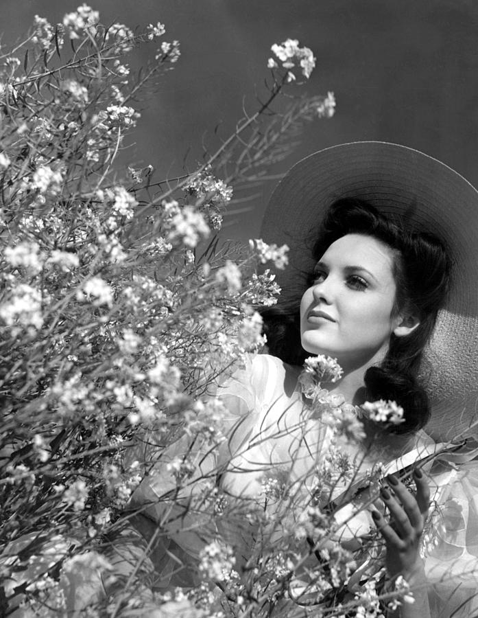 Flower Photograph - Linda Darnell, 1943 by Everett