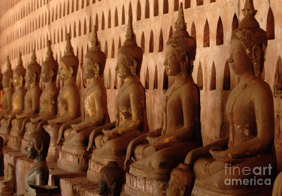 Line Of Buddhas Photograph by Bob Christopher