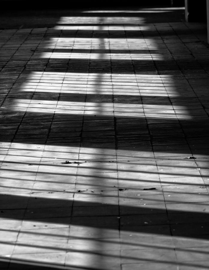 Lines and Shadow Photograph by Semmick Photo
