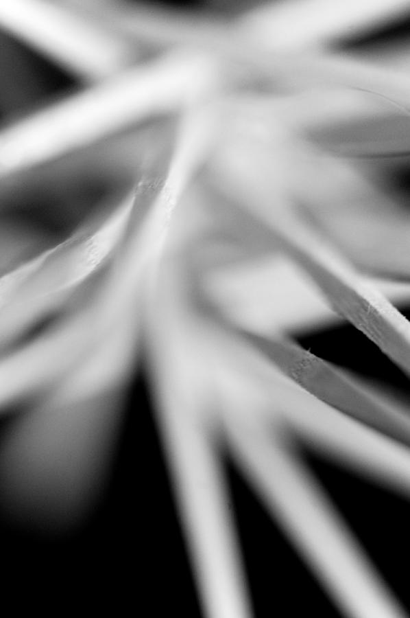Abstract Photograph - Lines by Frank DiGiovanni