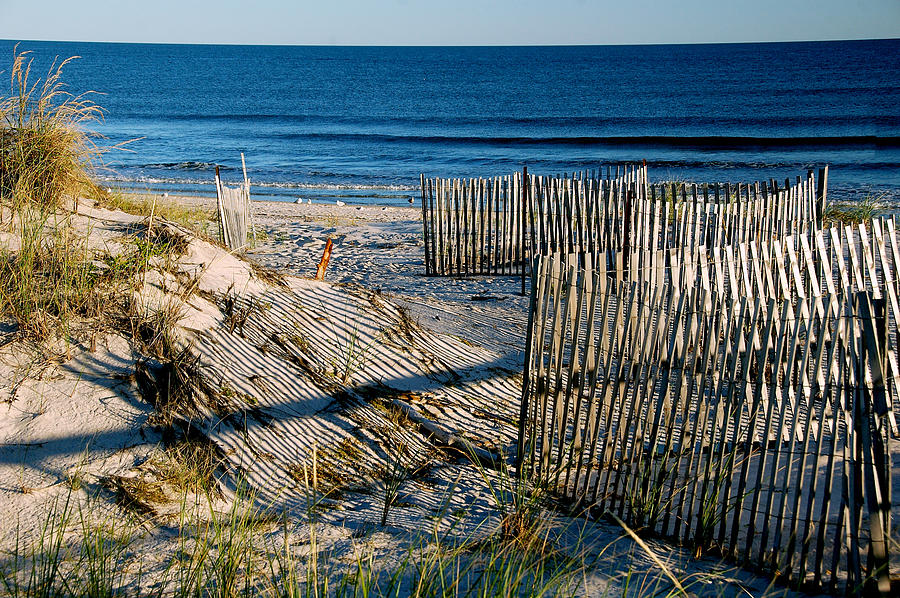 Lines On The Beach Photograph by Cathy Kovarik