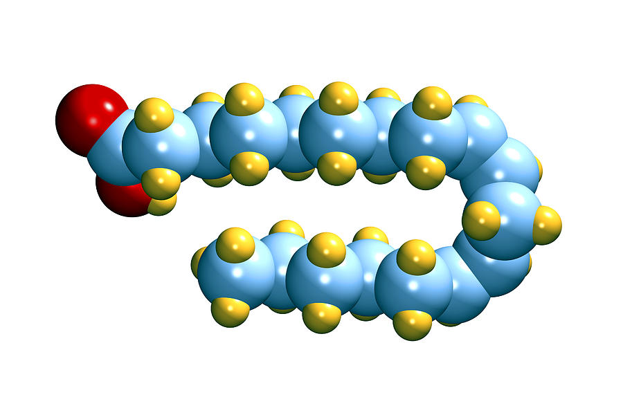 Жирные кислоты рисунок - 92 фото