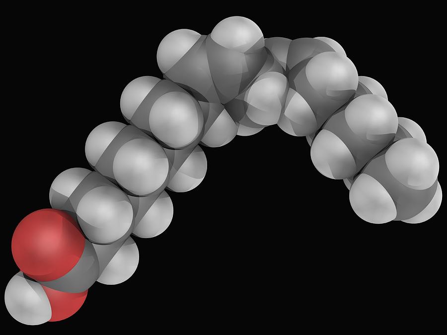 Linoleic Acid Molecule Digital Art by Laguna Design