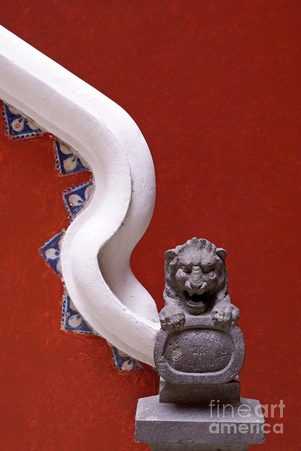 LION AND BANNISTER Puebla Mexico Photograph by John  Mitchell