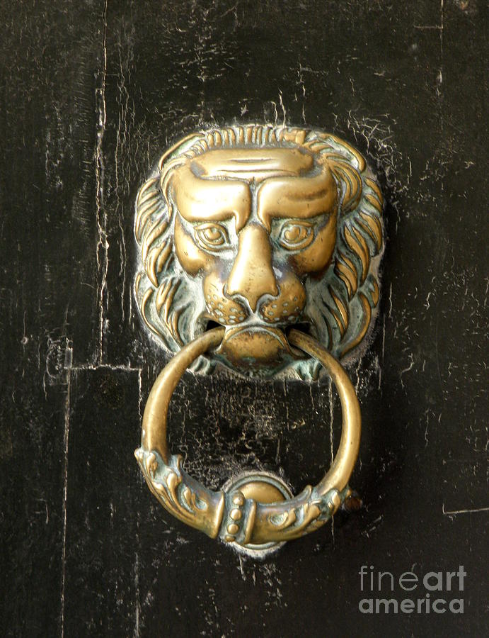 Lion Door Knocker Photograph by Lainie Wrightson