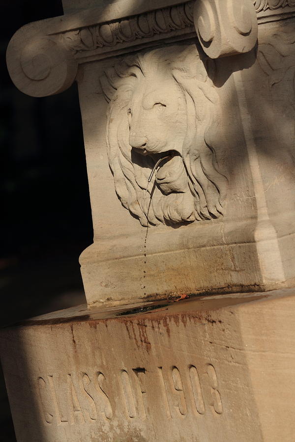 Lion Fountain in Color Photograph by Coby Cooper