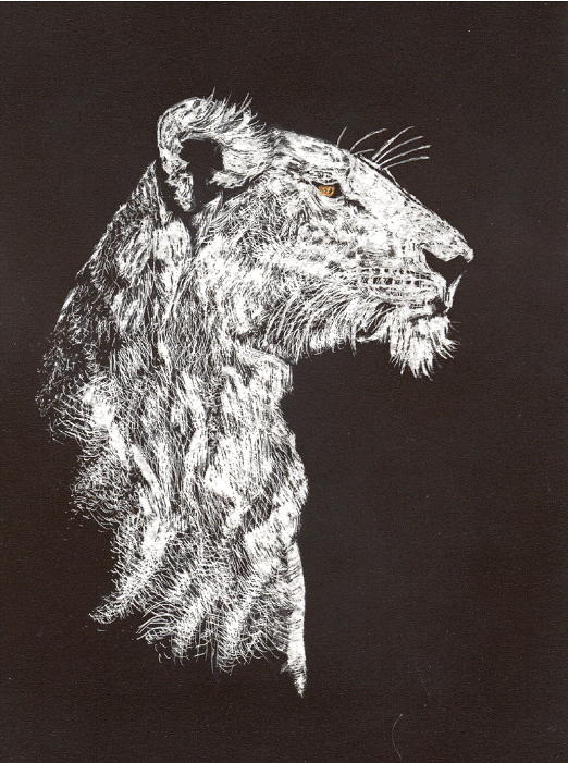 Lion Drawing by John Brisson