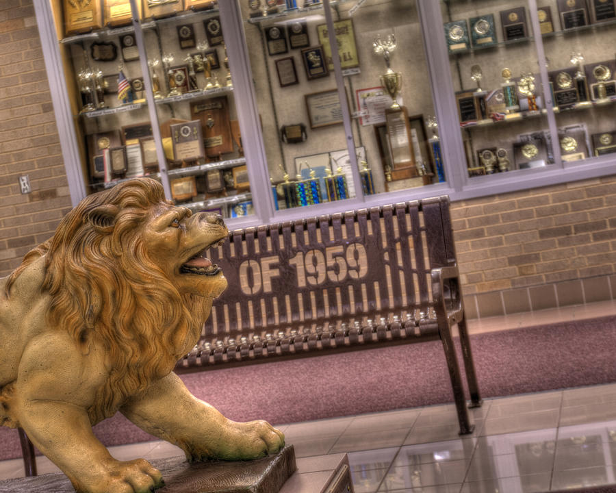 Lion Lobby Photograph by Coby Cooper