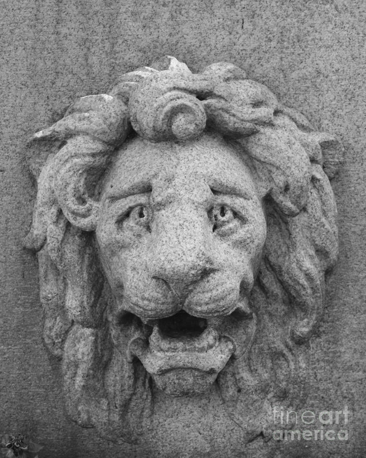 Lion Memorial Photograph by Margie Avellino