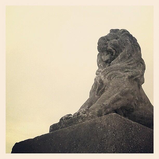 Lion Photograph - Lion Statue #caister #yarmouth #norfolk by Invisible Man