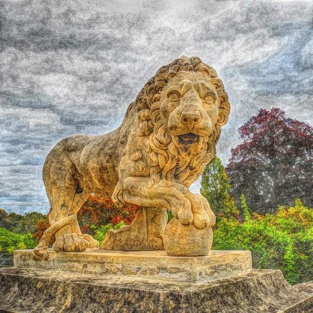 Compiegne Photograph - Lion Statue In #compiegne by Michael Krajnak