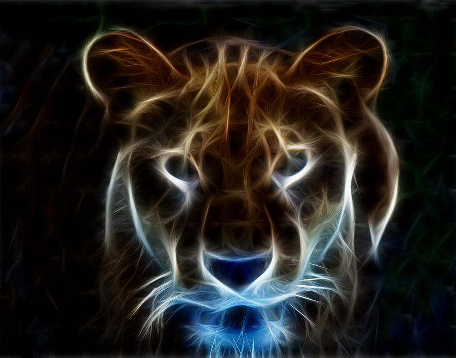 Lion Photograph - Lioness Light Art by Maggy Marsh
