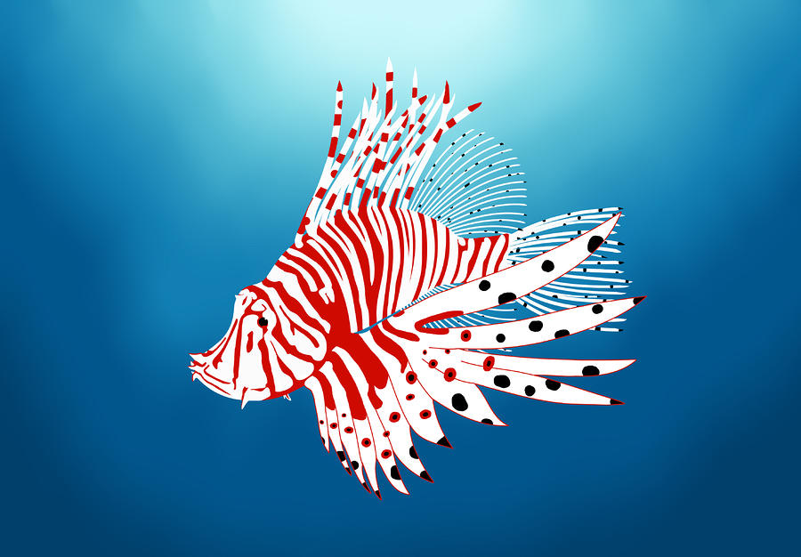 Wildlife Digital Art - Lionfish  by Vava Fuller-quinn