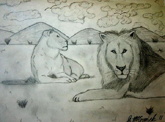 Lions Drawing by Damani McCormick - Fine Art America