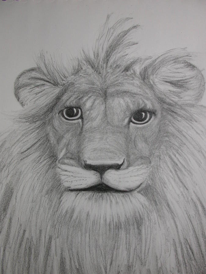 Pencil Sketch lion face on smirk and winking - Arthub.ai