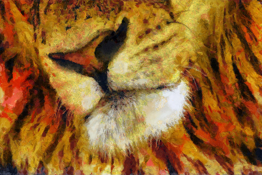 Wildlife Painting - Lions Mouth by Christopher Lane