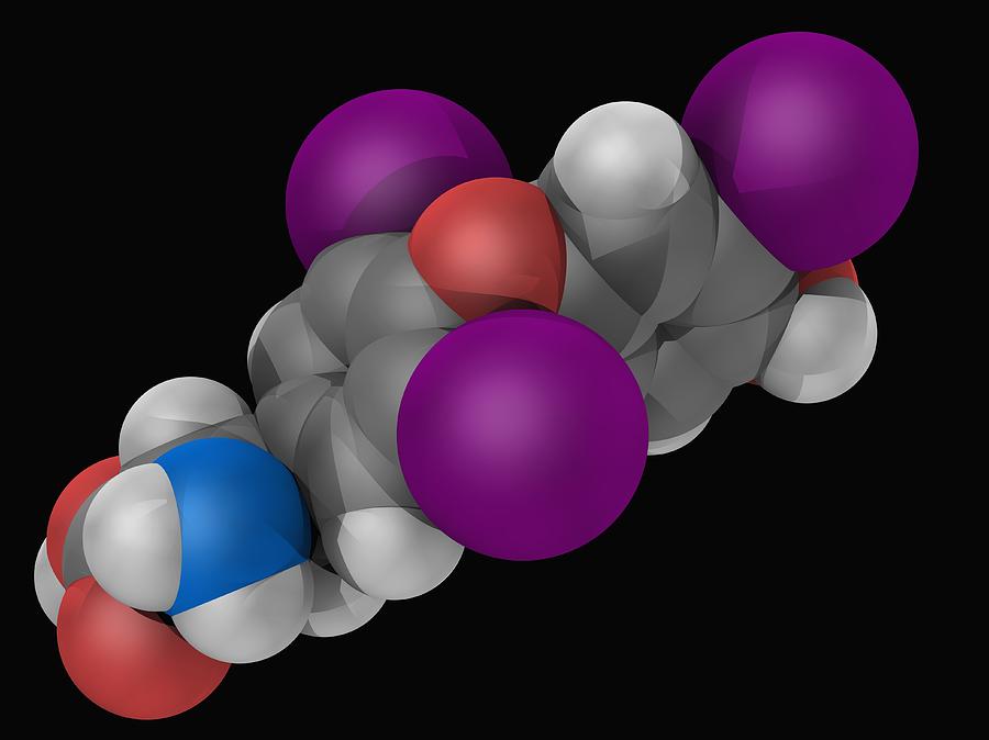 Liothyronine Hormone Molecule Digital Art by Laguna Design